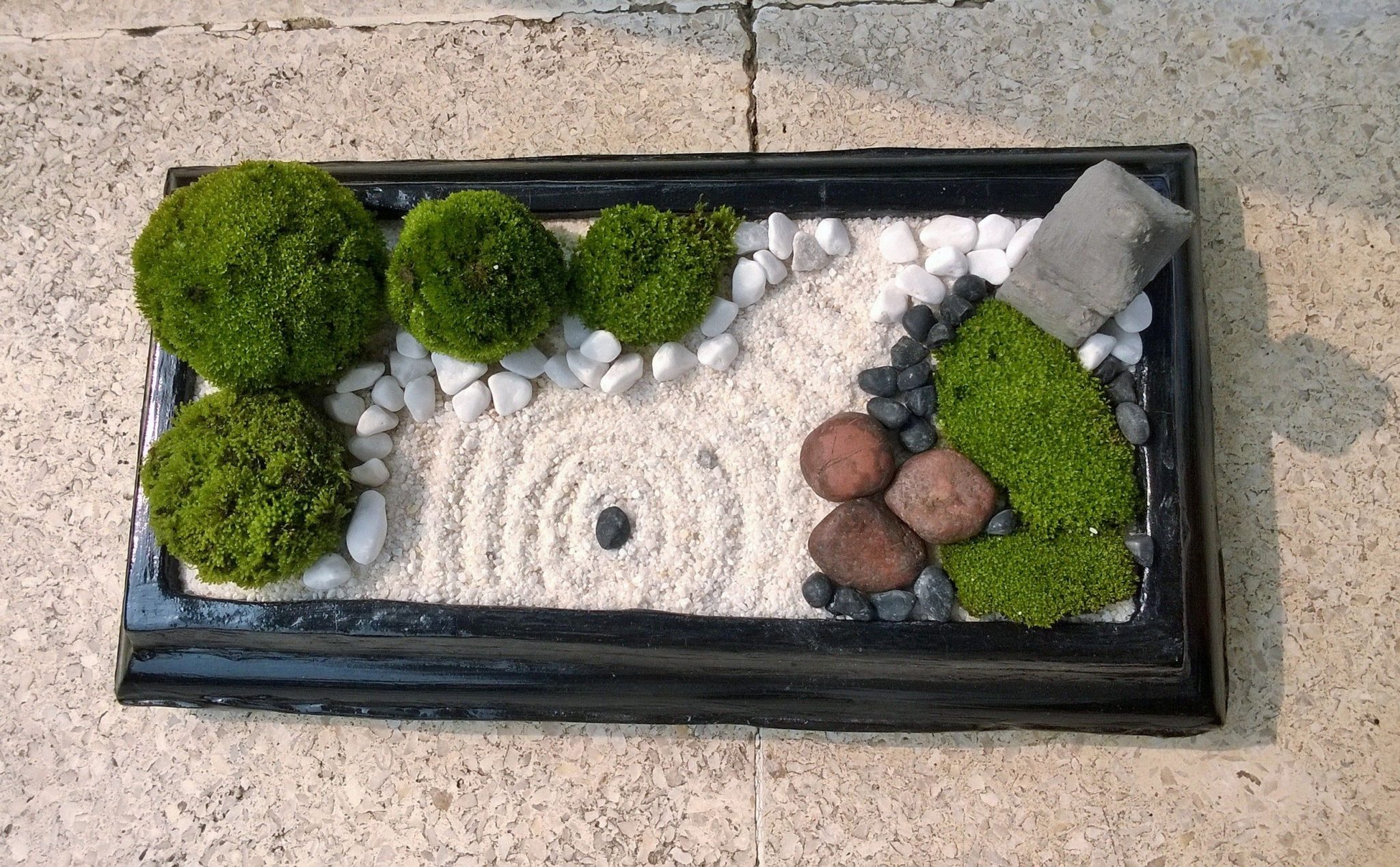 minature zen garden